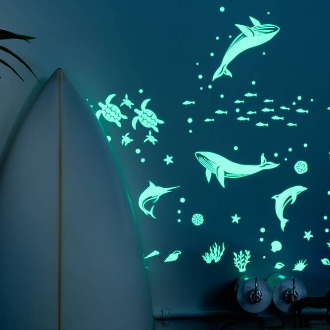 Sea Animal