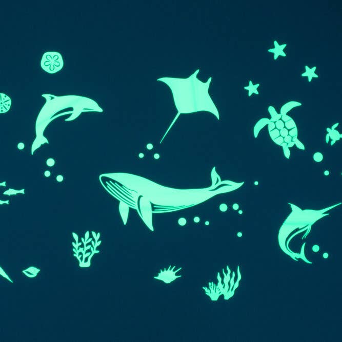 Sea Animal